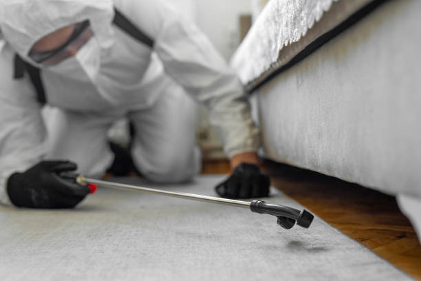 Professional Pest Control technician working in Buffalo County County, NE